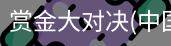 赏金大对决